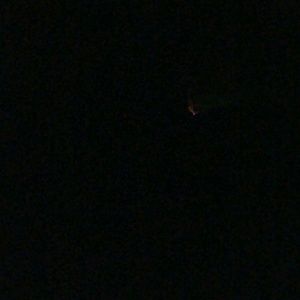 Meet your Posher, Vicky